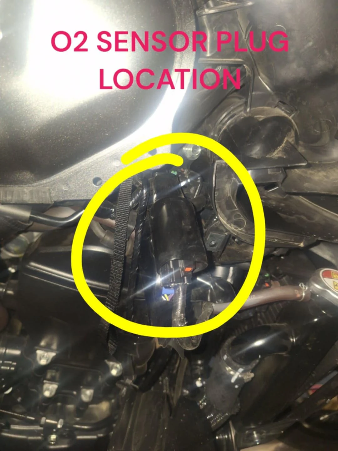 HONDA XL750 TRANSALP ECU REFLASH V2 NOW AVAILABLE - Image 6