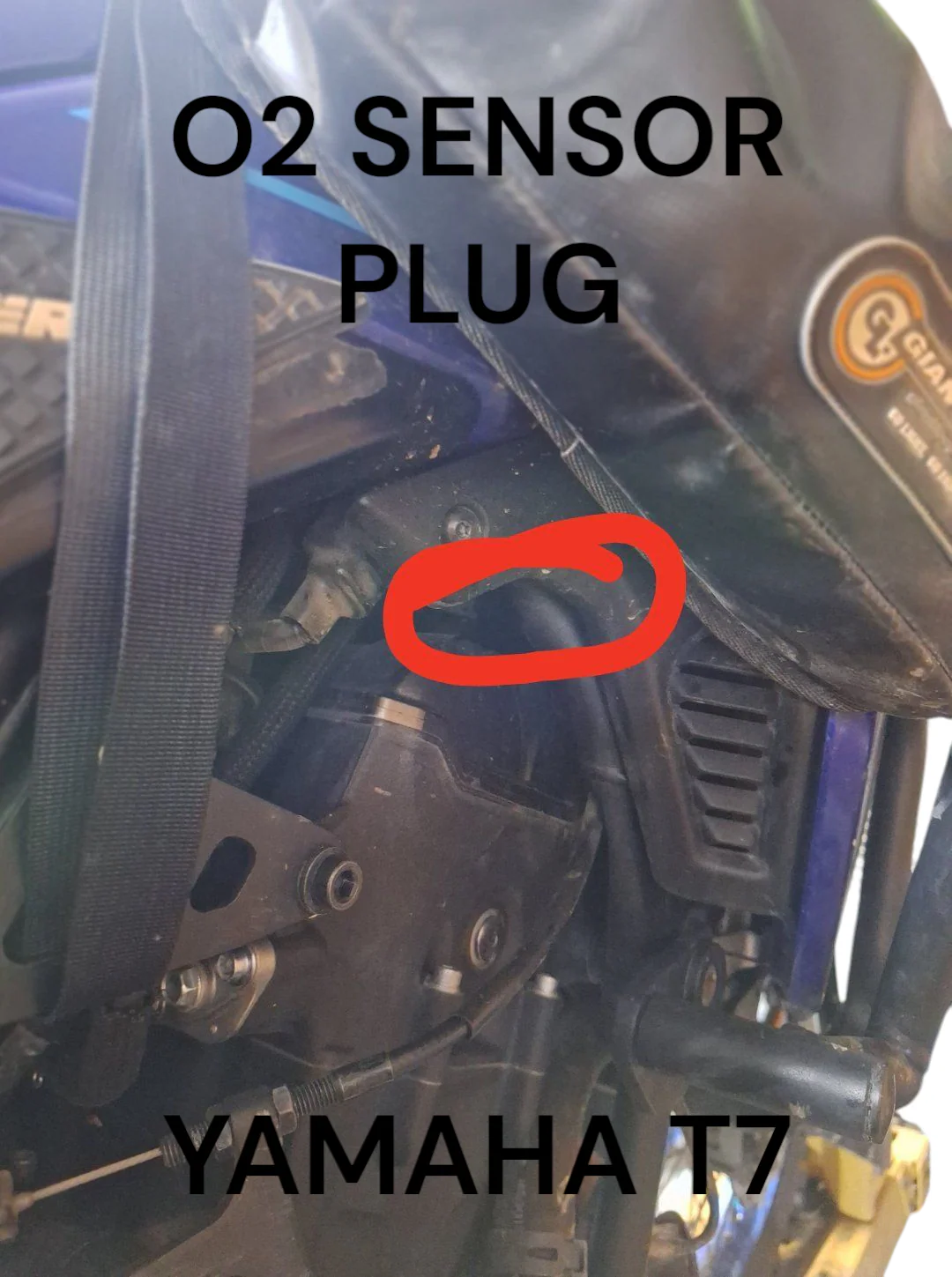 Yamaha T7 ECU Reflash Mail in service 🇦🇺 - Image 3